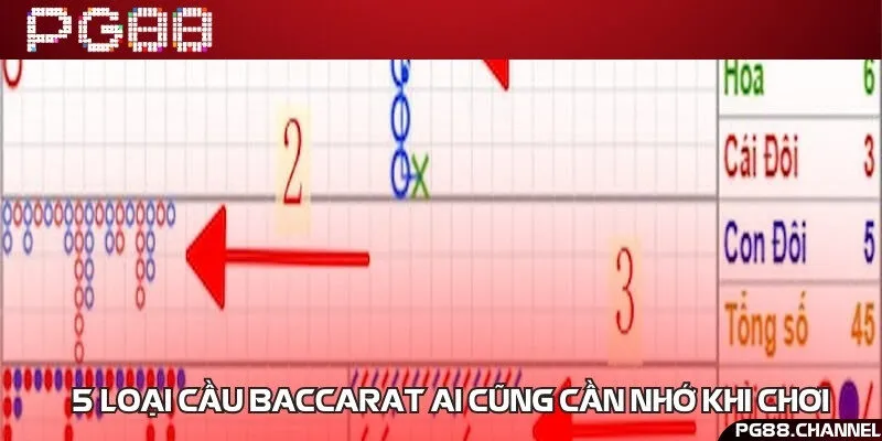 Điểm danh những loại cầu thường gặp tại nhà cái